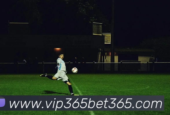 bet365中国官网平台生态图