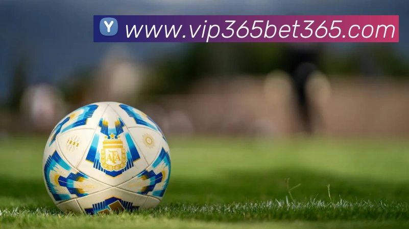 bet365中国官网全站App